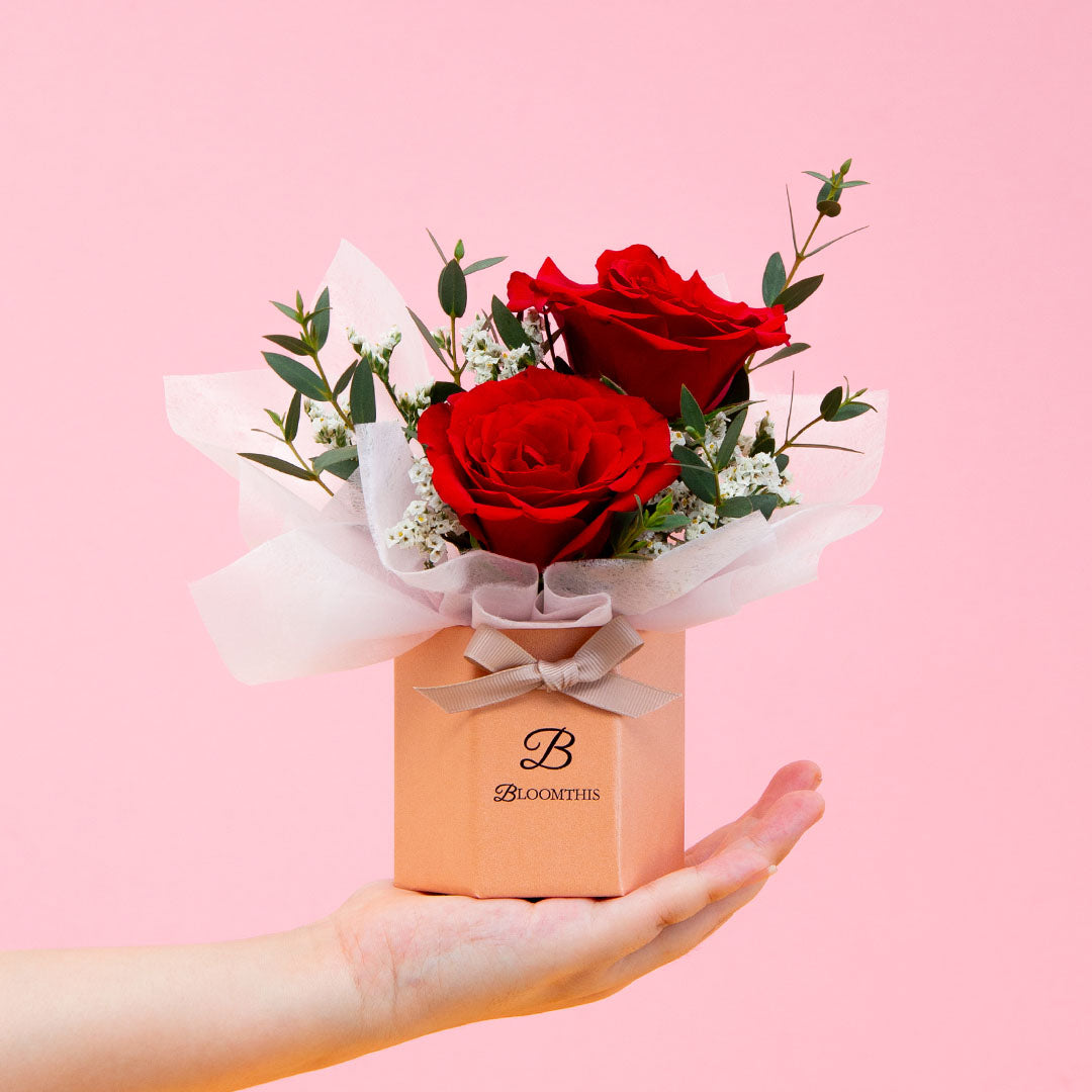 Chandra Rose Cat The Fiddle Malaysia Sdn Bhd chandra-rose-cat-the-fiddle-malaysia-sdn-bhd