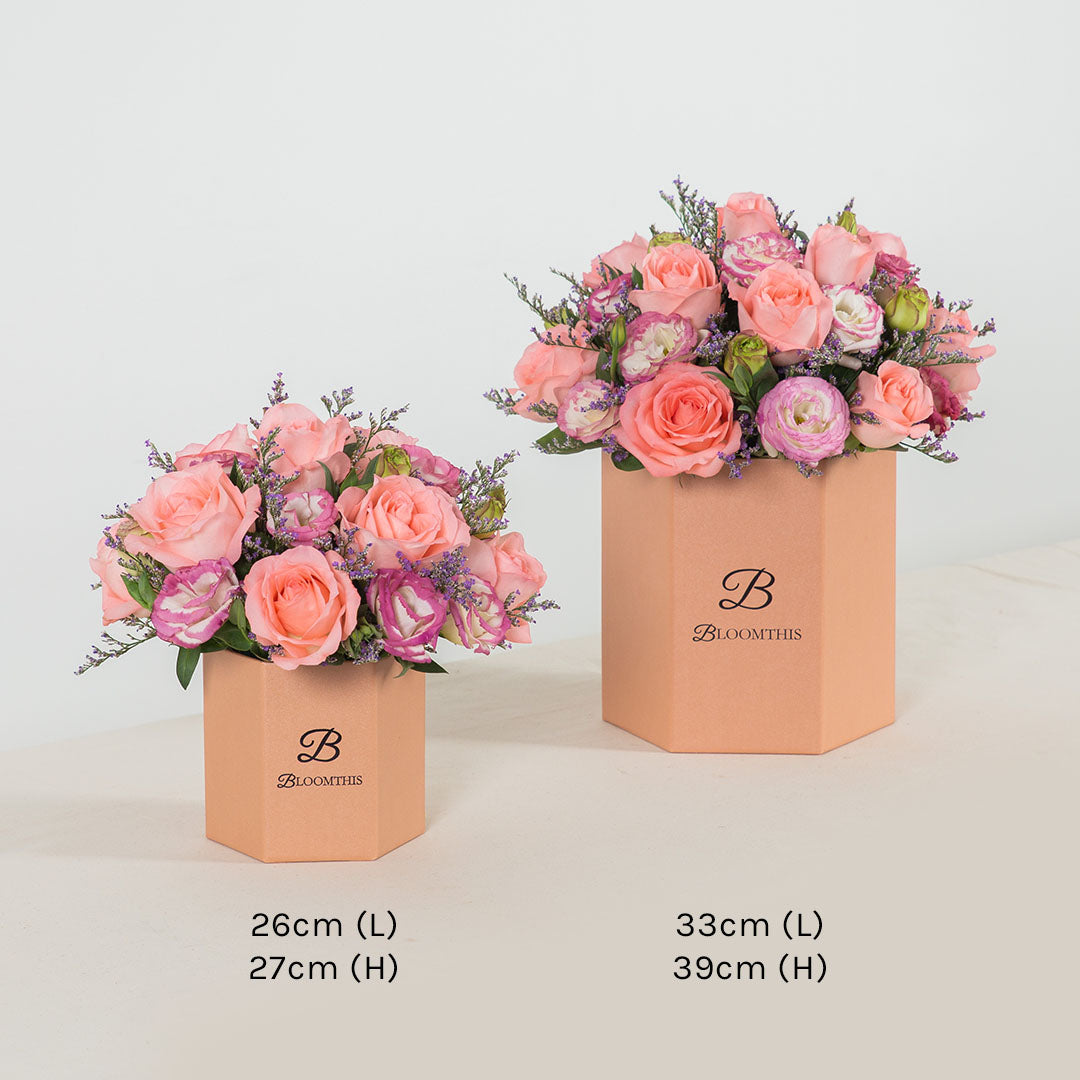 Evangeline Pink Rose