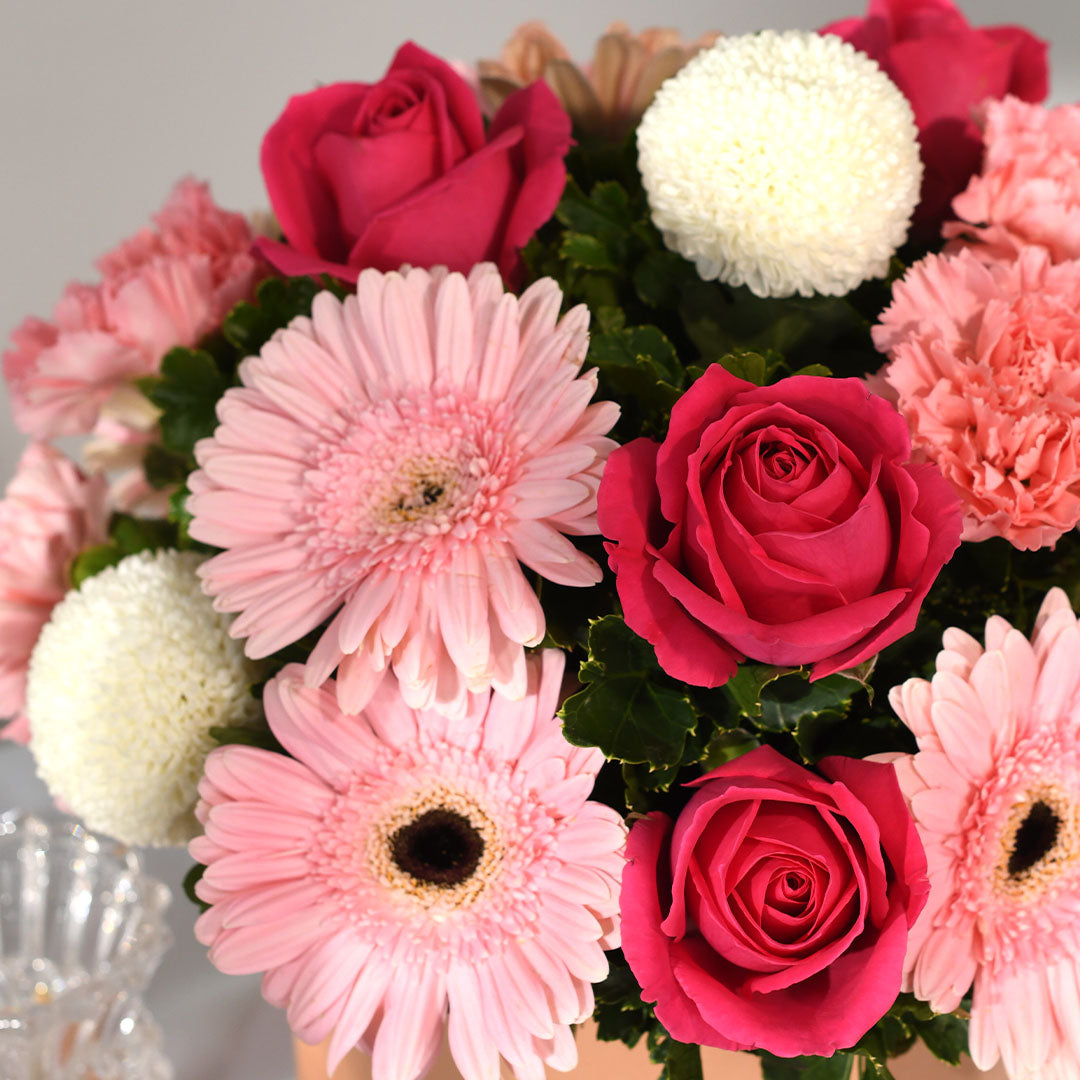 Marilyn Gerbera & Rose